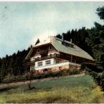 Saig über Titisee - Gasthof Haus Sonnhalde