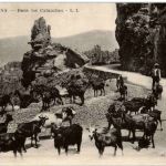Piana - Dans les Calanches