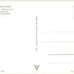 Fährschiff Warnemünde