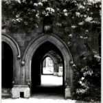 Cambridge 1953