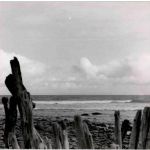 Lynmouth 1954