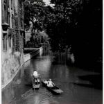 Cambridge 1953