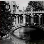 Cambridge 1953
