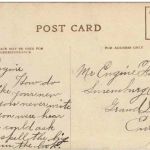 JAgd - Following the Hounds