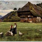 H. Hoffmann - Schwarzwald
