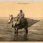 St. Idesbald - Fisherman