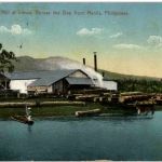 Saw Mill at Limay - Philippines