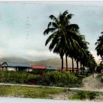 M 86 bis Serie Luxe Guadeloupe - Route de Basse Terre