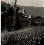 Weissenkirchen Wachau