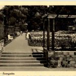 Göttingen - rosengarten