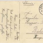 Buchloe mit Gebirgspanorama