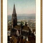 Freiburg - Münster