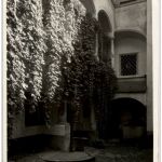 Steyr a d Enns