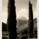 Merano - Vegetazione