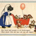 Dog and cats