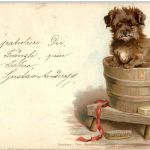 Hund - Litho