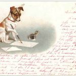 Hund - Litho