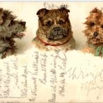 Hund - Litho