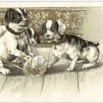 Hunde - Litho