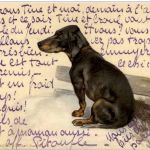 Hunde - Litho