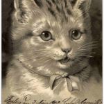 Katzen - Litho
