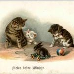 Katzen - Litho