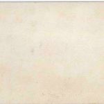 Katzen - Litho