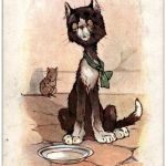 Katze - Humor