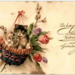 Katzen