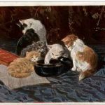 Katzen