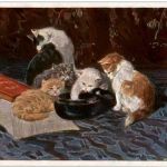 Katzen