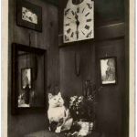 Katzen - Clock