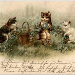 Katzen - Litho