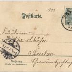 Katzen - Litho