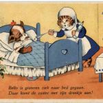 Katzen - M B Cooper