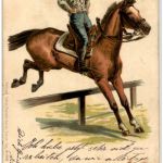 Reiten - Horse