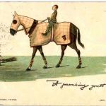 Reiten - Horse