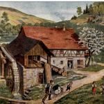Mühle Wiese