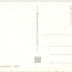 Grinzing Wein - wine