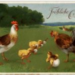 Huhn Chicken