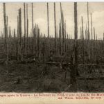 Le Sommet du Violu