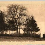 Woerth sur Sauer - Abre de Mac Mahon