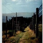 Camp de Deportation de Natzwiller Struthof