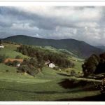Zell - Labaroche