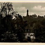 Bad Freienwalde - blick zum Aussichtsturm