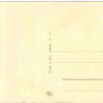 Erfurt - Blick vom Junkersand