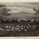Bad Soden a Taunus