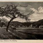 Sülzhayn bei Ellrich