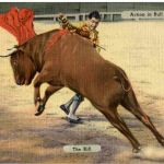 Action in Bull fight - The Kill
