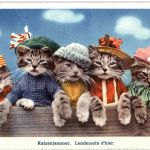 Katzen